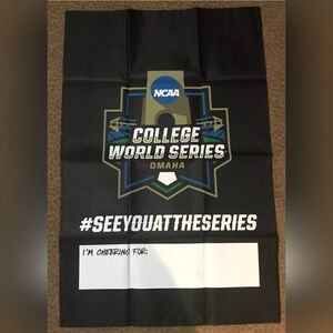 New College World Series 24" x 36" banner. 